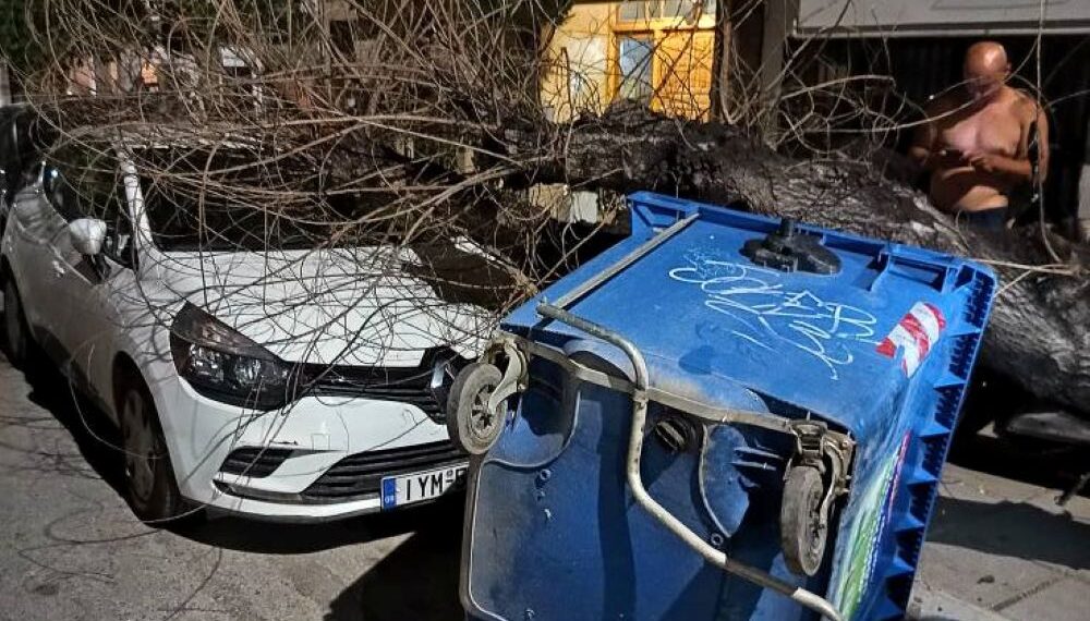 Θεσσαλονίκη: Δένδρο έπεσε πάνω σε σταθμευμένο αυτοκίνητο