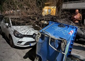 Θεσσαλονίκη: Δένδρο έπεσε πάνω σε σταθμευμένο αυτοκίνητο