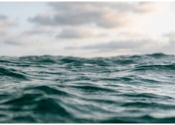 Ροδόπη: Τα αποτελέσματα από την ιατροδικαστική έρευνα της 11χρονης