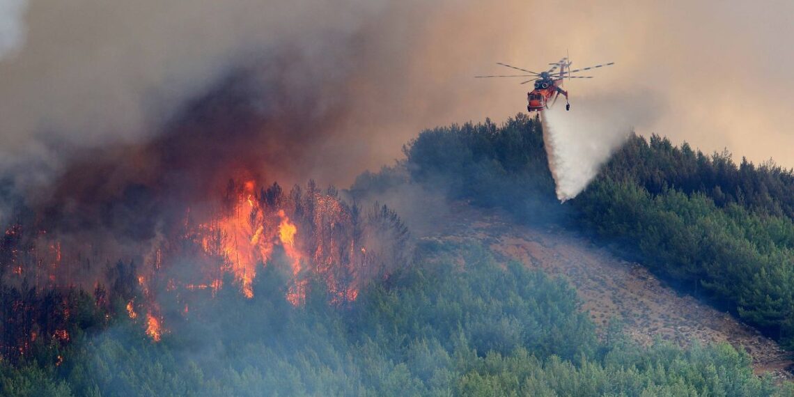 Φωτιά στον Εθνικό Δρυμό της Βάλια Κάλντα