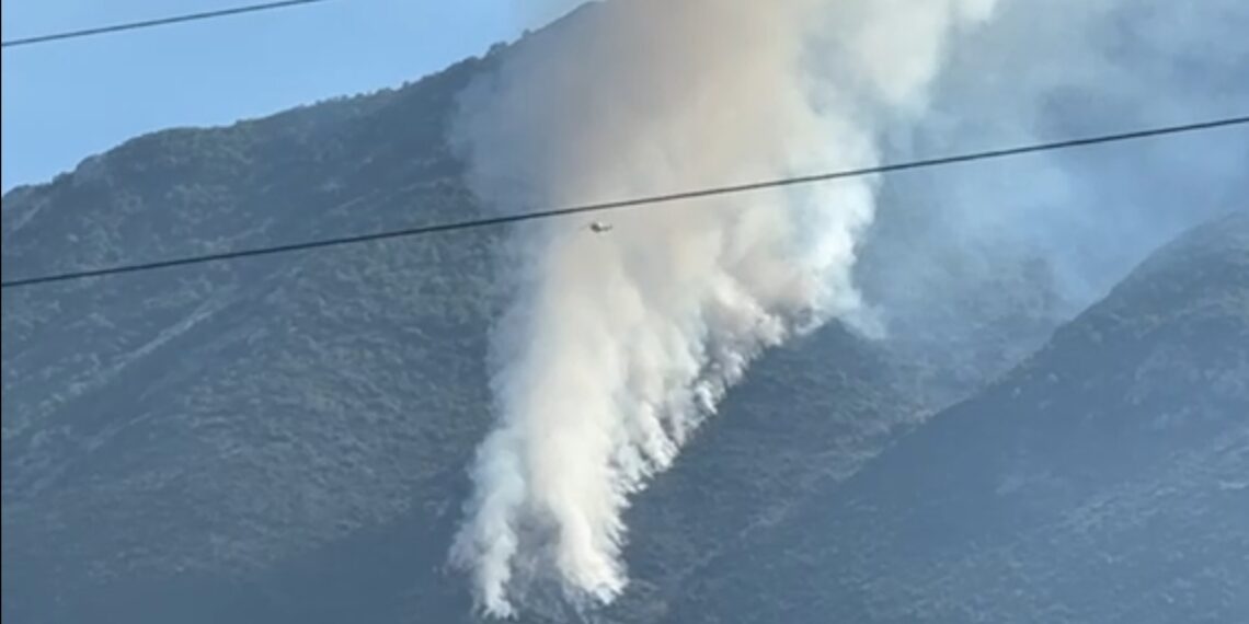 Συναγερμός για πυρκαγιά στο Γαρδίκι Θεσπρωτίας (VIDEO)