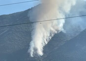 Συναγερμός για πυρκαγιά στο Γαρδίκι Θεσπρωτίας (VIDEO)