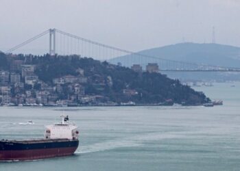 Τουρκία: Μεγάλη δασική πυρκαγιά στα Δαρδανέλλια