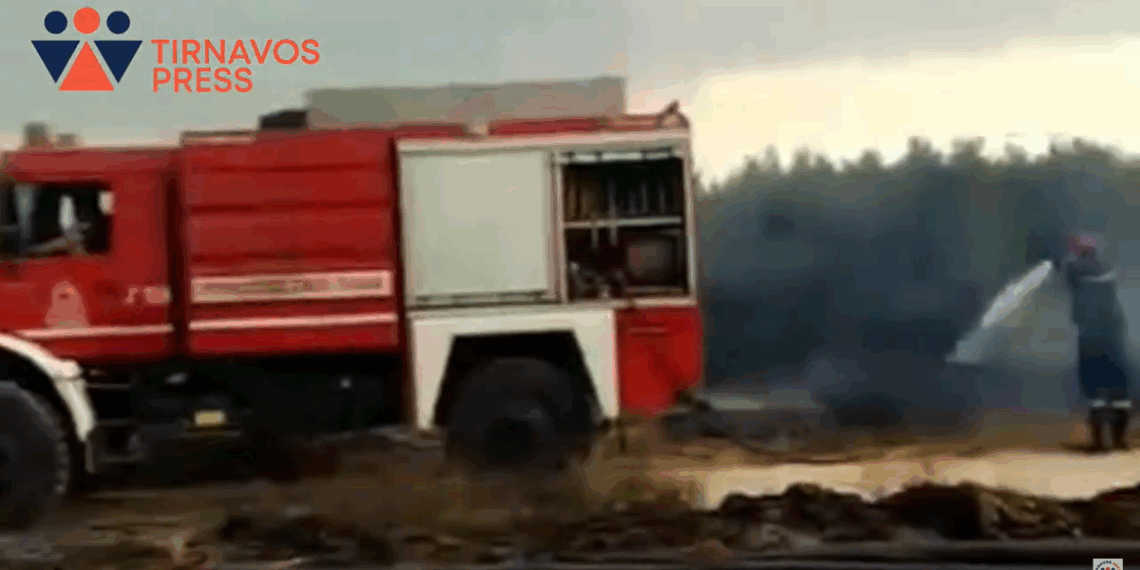 Φωτιά σε χωράφια στον Τύρναβο (video)