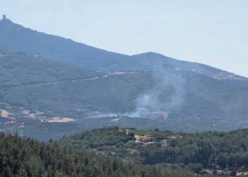 Θεσσαλονίκη: Φωτιά στον Χορτιάτη