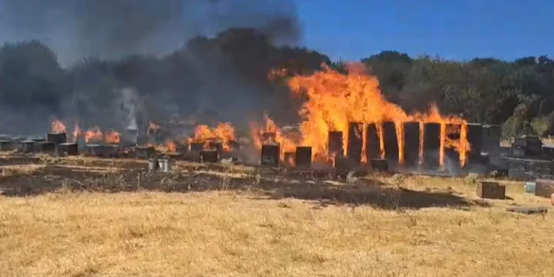 Συνελήφθη ένας άνδρας για τη φωτιά στον Χορτιάτη