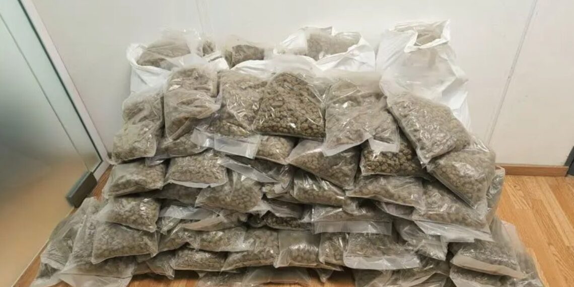 Συνελήφθησαν δύο άτομα που εισήγαγαν, μέσω ταχυδρομικού δέματος, 62 κιλά κάνναβης