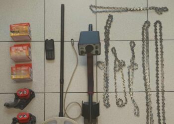 Επιχείρηση της ΕΛ.ΑΣ. με drones για τη συλληψη 62χρονου για παράνομη υλοτομία (φωτό -βιντεο)