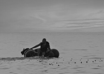 Έβρος: Αυξήθηκαν οι μεταναστευτικές ροές