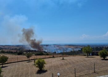 Φωτιά στο Πλαγιάρι Θεσσαλονίκης (φωτό – βίντεο)
