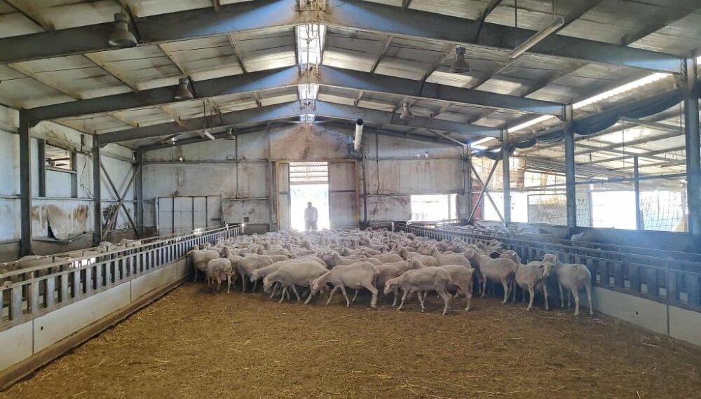 Δυτική Μακεδονία: Δημιουργούνται πέντε σταθμοί απολύμανσης στην Κοζάνη