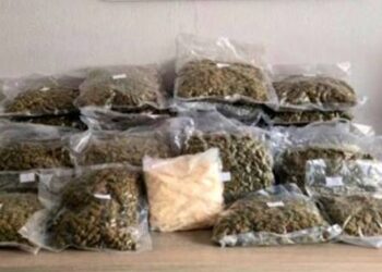 Τον «τσίμπησαν» στον Έβρο με 19 κιλά κάνναβης