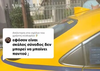 Ντροπή: Οδηγός ταξί αρνήθηκε στην Παραολυμπιονίκη Πελενδρίτου να πάρει μαζί τον σκύλο-οδηγό της