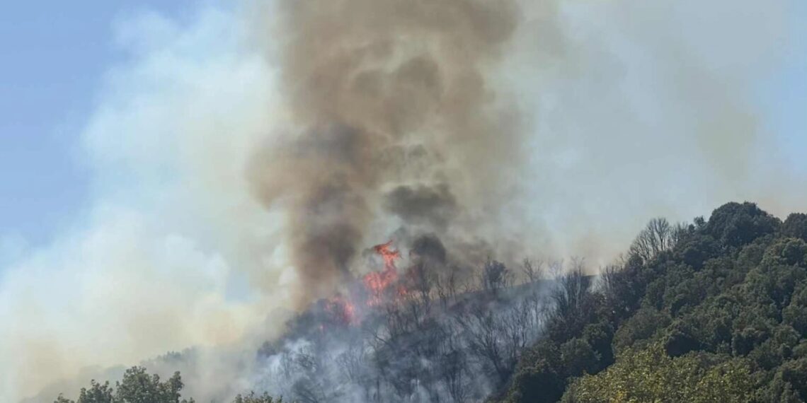 Κερδίζουν τη μάχη με τις φλόγες οι πυροσβέστες στο Παγγαίο Καβάλας (PHOTOS)