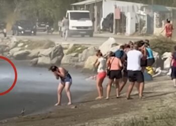 Σκιάθος: Τουρίστας εκτινάζεται στη θάλασσα κατά την απογείωση αεροσκάφους (video)