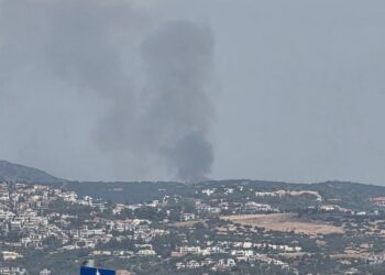 Φωτιά στην Πυλαία Θεσσαλονίκης – Μήνυμα από το 112 στους πολίτες