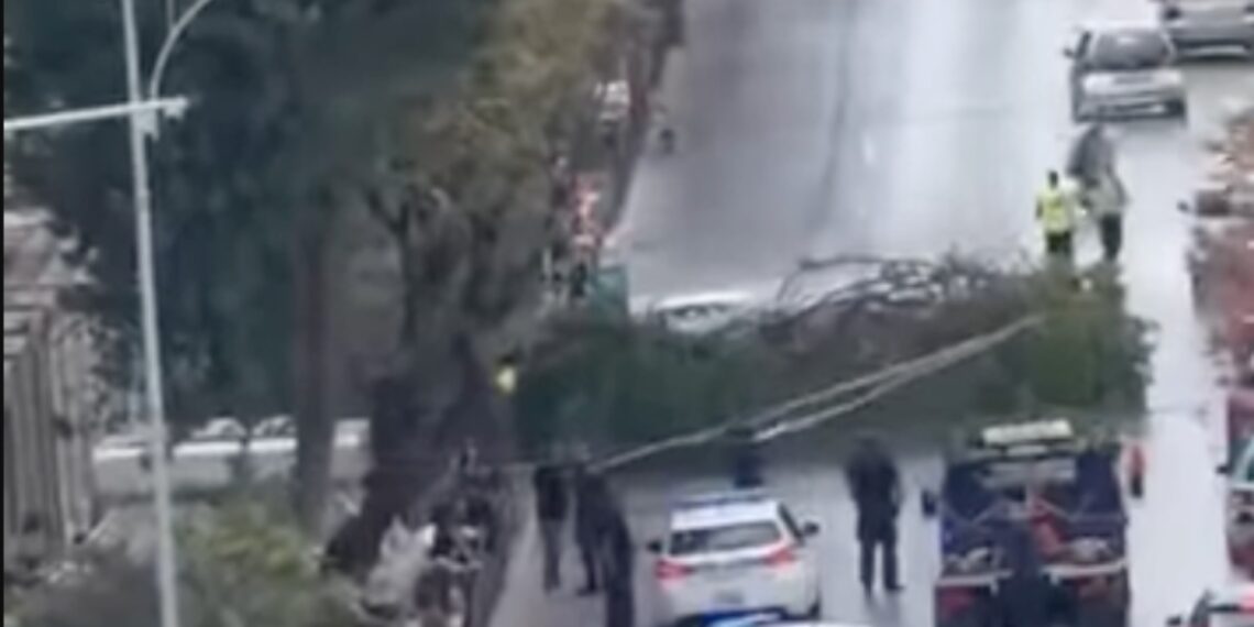 Θεσσαλονίκη: Μεγάλο κλαδί δέντρου έπεσε στην Τσιμισκή – Έκλεισαν δύο λωρίδες κυκλοφορίας
