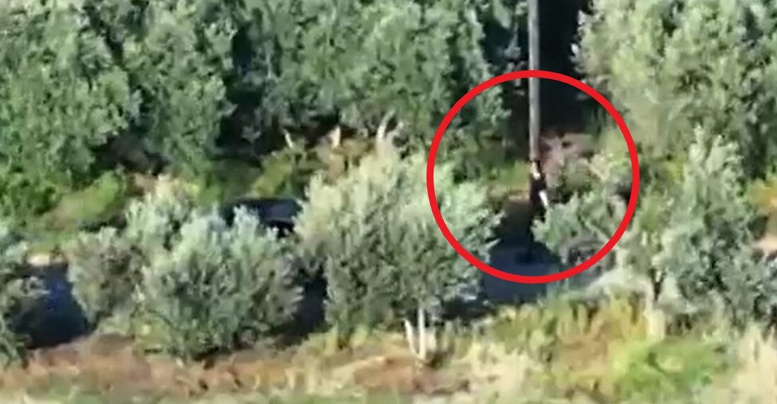 Δημογλίδου για τη μαφία της Κρήτης: Έρχονται και άλλες συλλήψεις