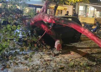 Θεσσαλονίκη: Δέντρο έπεσε πάνω σε αυτοκίνητο