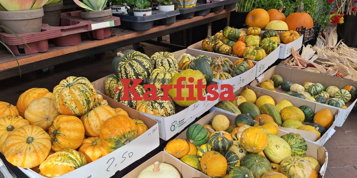 Το Halloween ήρθε στη Θεσσαλονίκη - «Ξεπουλάνε» οι διακοσμητικές κολοκύθες στα Λουλουδάδικα (ΦΩΤΟ+Video)