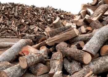 Έπιασαν δουλειά οι υλοτόμοι στον Ταξιάρχη! Μεγάλη ζήτηση για καυσόξυλα (VIDEO)