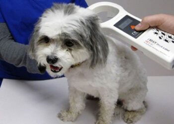 Θεσσαλονίκη: Πάνω από 12.000 ευρώ τα πρόστιμα σε ιδιοκτήτες κατοικιδίων!