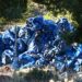 Χαλκιδική – Βράσταμα: Ερωτήματα για δραστηριότητα απόθεσης αποβλήτων χωρίς άδεια