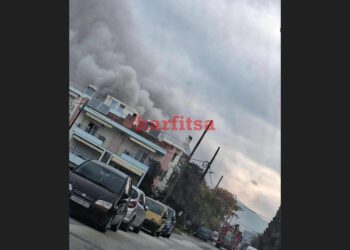 Στις φλόγες διαμέρισμα στην Πυλαία (photo+video)