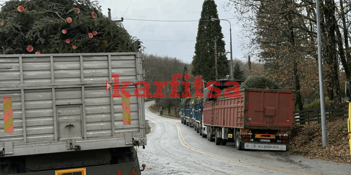 Ξεκινούν γεμάτα έλατα τα φορτηγά από τον Ταξιάρχη Χαλκιδικής – Έρχονται στις πόλεις τα χριστουγεννιάτικα δέντρα (φωτό – βίντεο)