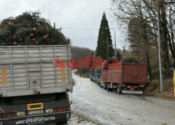 Ξεκινούν γεμάτα έλατα τα φορτηγά από τον Ταξιάρχη Χαλκιδικής – Έρχονται στις πόλεις τα χριστουγεννιάτικα δέντρα (φωτό – βίντεο)