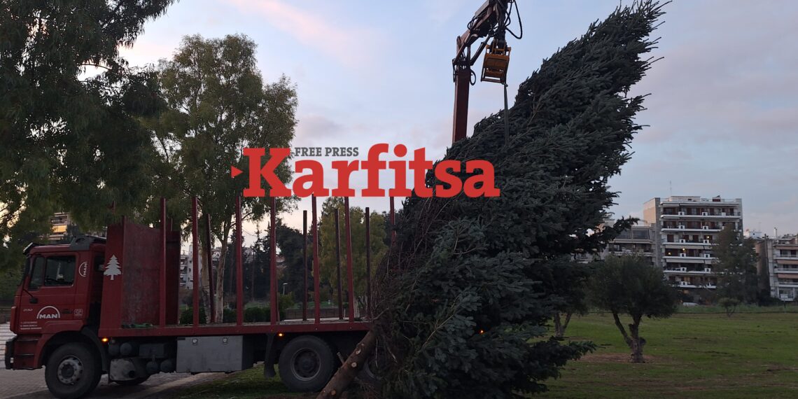 Πυλαία: Τοποθετήθηκε στο Ελαιόρεμα το φυσικό έλατο από τον Ταξιάρχη Χαλκιδικής για τη «Μαγική Πόλη» (ΦΩΤΟ+Video)