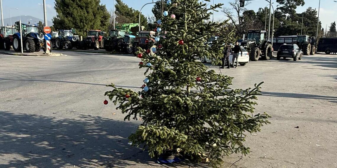 Στόλισαν χριστουγεννιάτικο δέντρο στα “Πράσινα Φανάρια” (φωτό βίντεο)