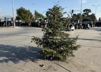 Στόλισαν χριστουγεννιάτικο δέντρο στα “Πράσινα Φανάρια” (φωτό βίντεο)