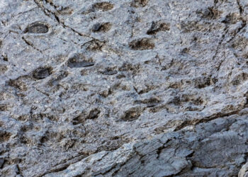 Εντυπωσιακή ανακάλυψη στις Άλπεις της Ιταλίας: Χιλιάδες αποτυπώματα δεινοσαύρων σε υψόμετρο 2.000 μέτρων