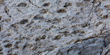 Εντυπωσιακή ανακάλυψη στις Άλπεις της Ιταλίας: Χιλιάδες αποτυπώματα δεινοσαύρων σε υψόμετρο 2.000 μέτρων