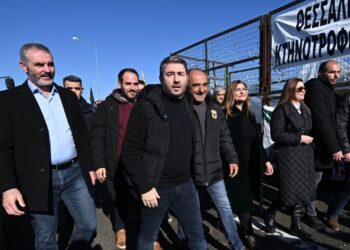 Ανδρουλάκης: Ο πρωτογενής τομέας πληρώνει ακριβά την ανικανότητα και τη διαφθορά της κυβέρνησης της ΝΔ