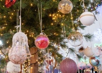 Εβδομήντα αστέρια-στολίδια για κάθε δότη οργάνων στη Θεσσαλονίκη το 2022-2025