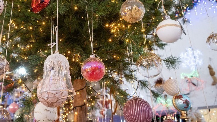 Εβδομήντα αστέρια-στολίδια για κάθε δότη οργάνων στη Θεσσαλονίκη το 2022-2025