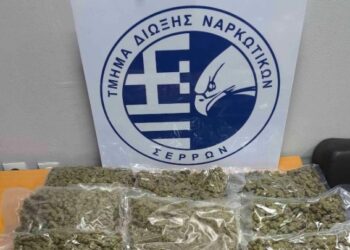 Πάνω από πέντε κιλά κάνναβης εντόπισαν αστυνομικοί με τη συνδρομή του αστυνομικού σκύλου Roxy