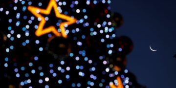 Ινδία: Το χειροποίητο χριστουγεννιάτικο δέντρο που έδωσε φωνή στις γυναίκες της Γκόα