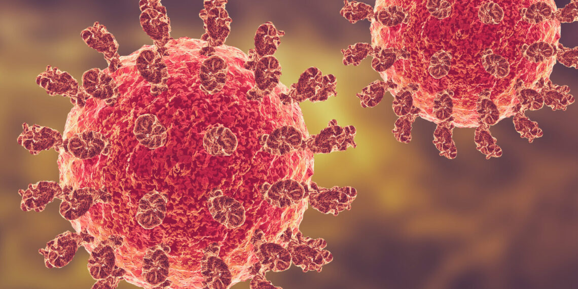 Ιός Nipah: Τι είναι, πώς μεταδίδεται και ποιος ο κίνδυνος για την Ευρώπη