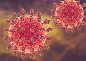 Ιός Nipah: Τι είναι, πώς μεταδίδεται και ποιος ο κίνδυνος για την Ευρώπη