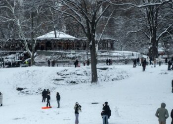 Συνεχίζεται το κύμα ψύχους στις ΗΠΑ, στους 38 έφτασαν οι νεκροί