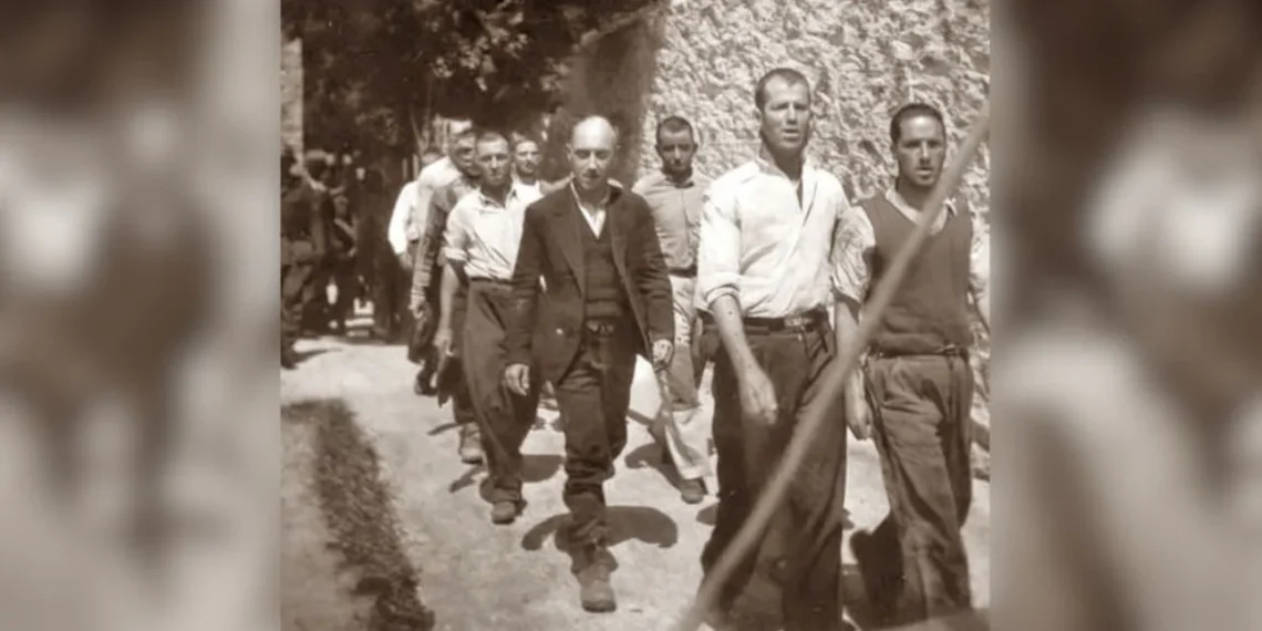 Βέλγος συλλέκτης για ις φωτογραφίες από την Καισαριανή: Είμαι χαρούμενος και ανακουφισμένος