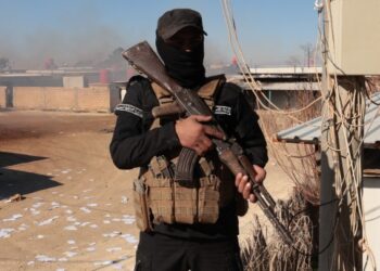 Συρία: Οι κυβερνητικές δυνάμεις εισήλθαν στην κουρδική πόλη Καμισλί