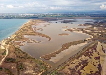 Εθελοντικοί καθαρισμοί σε 4 σημαντικούς υγροτόπους