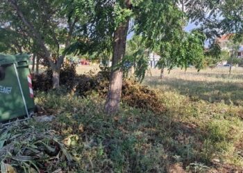 Τι αλλάζει στους καθαρισμούς των οικοπέδων με το νομοσχέδιο «Ενεργή Μάχη»