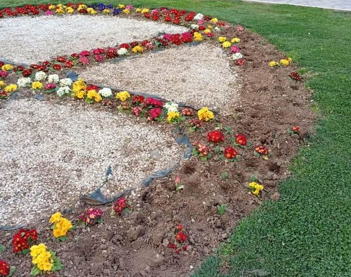 Δ.Θεσσαλονίκης: Ξερίζωσαν και πέταξαν στα σκουπίδια λουλούδια από παρτέρι