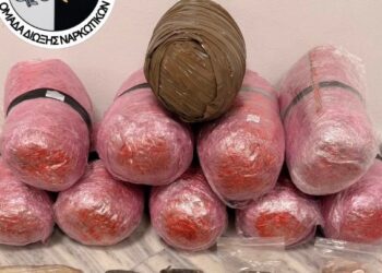 Ο “Vector” έβγαλε… λαβράκι: Συνελήφθη 39χρονος στη Θεσσαλονίκη για κατοχή κάνναβης και ηρωίνης