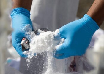 Περισσότερη κοκαΐνη και κεταμίνη στα λύματα στην Ευρώπη (EUDA)